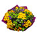 yellow and greens chrysanthemums. Colombia